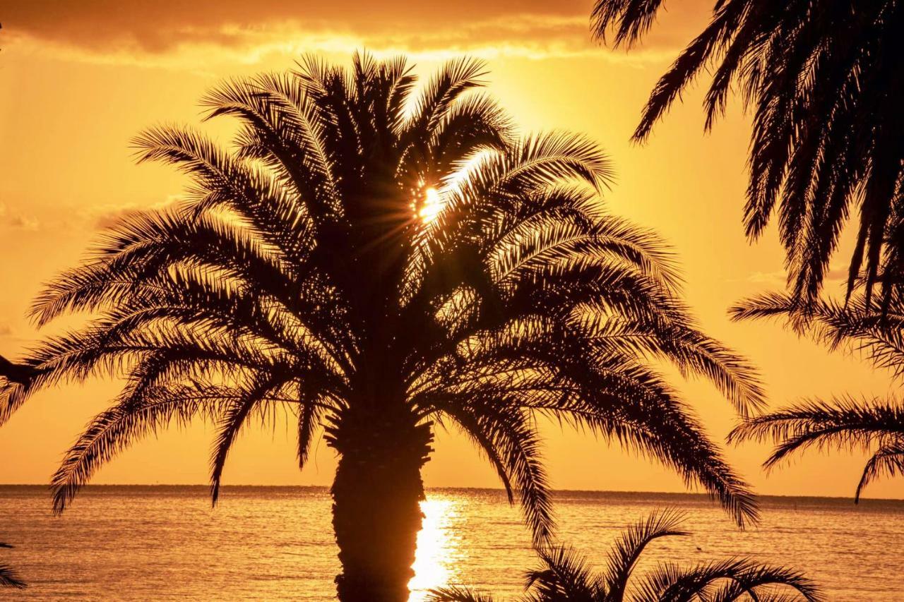 Mare D'Amare Bed & Breakfast San Benedetto del Tronto Dış mekan fotoğraf